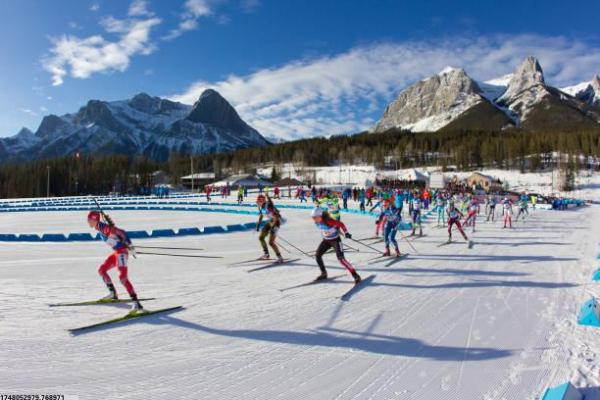 体育培训课程中的实际操作与理论学习如何结合？